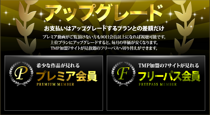 アップグレード